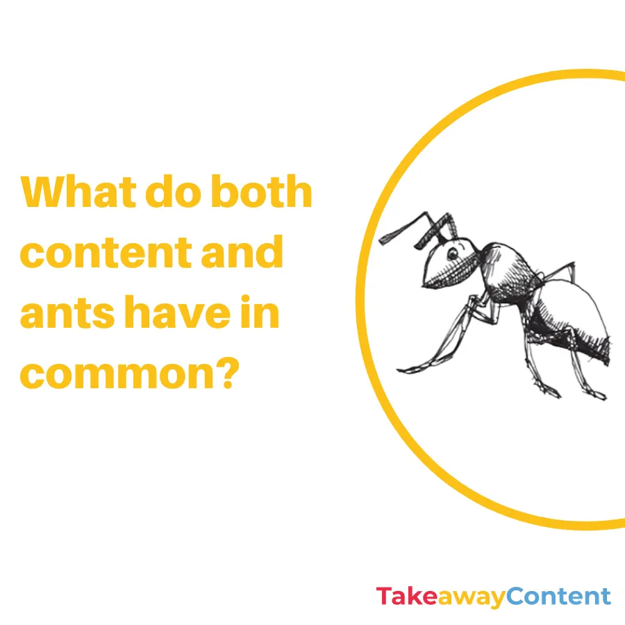What do both content and ants have in common?